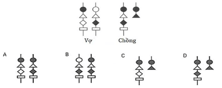 100+ câu hỏi trắc nghiệm Nhiễm sắc thể và các quy luật di truyền (có đáp án)