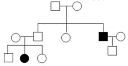 100+ câu hỏi trắc nghiệm Nhiễm sắc thể và các quy luật di truyền (có đáp án)