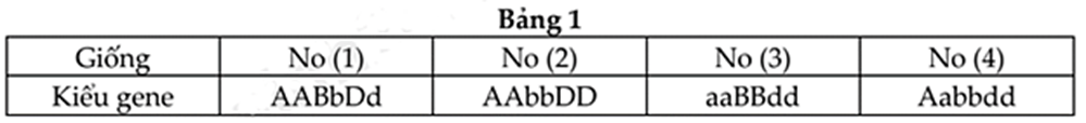 100+ câu hỏi trắc nghiệm Nhiễm sắc thể và các quy luật di truyền (có đáp án)