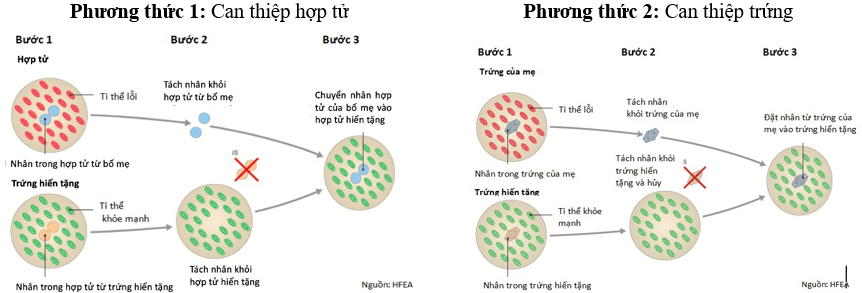 100+ câu hỏi trắc nghiệm Nhiễm sắc thể và các quy luật di truyền (có đáp án)