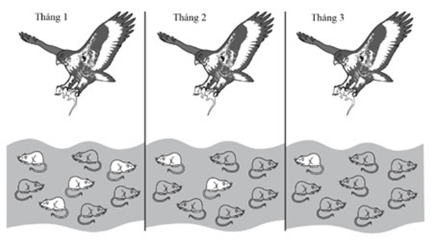 100+ câu hỏi trắc nghiệm Tiến hóa (có đáp án)