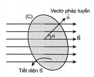 Từ trường (Chuyên đề Vật Lí ôn thi Tốt nghiệp 2025)