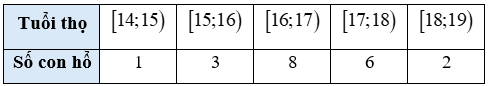 Thống kê (Chuyên đề Toán ôn thi Tốt nghiệp 2025)