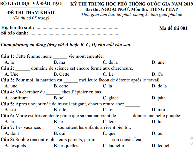 Đề minh họa năm 2019 môn Tiếng Pháp | Đề minh họa năm 2019