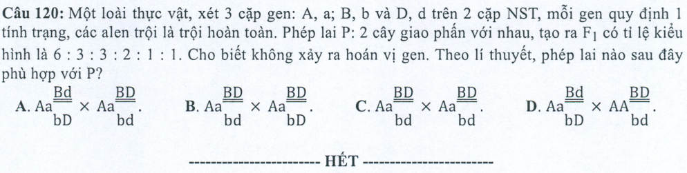 Đề minh họa năm 2022 Sinh học tốt nghiệp THPT (có đáp án)