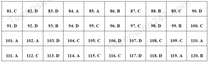 Đề tham khảo 2024 Giáo dục công dân