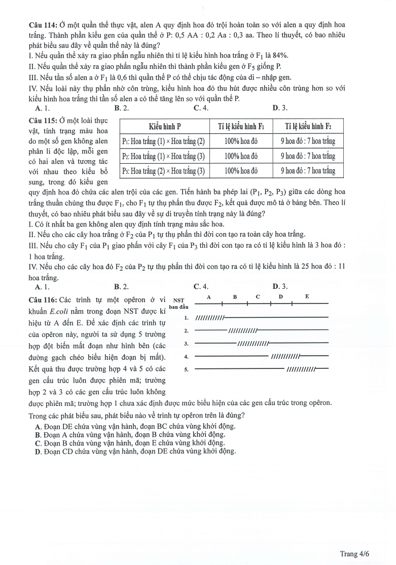 Đề tham khảo 2024 Sinh học