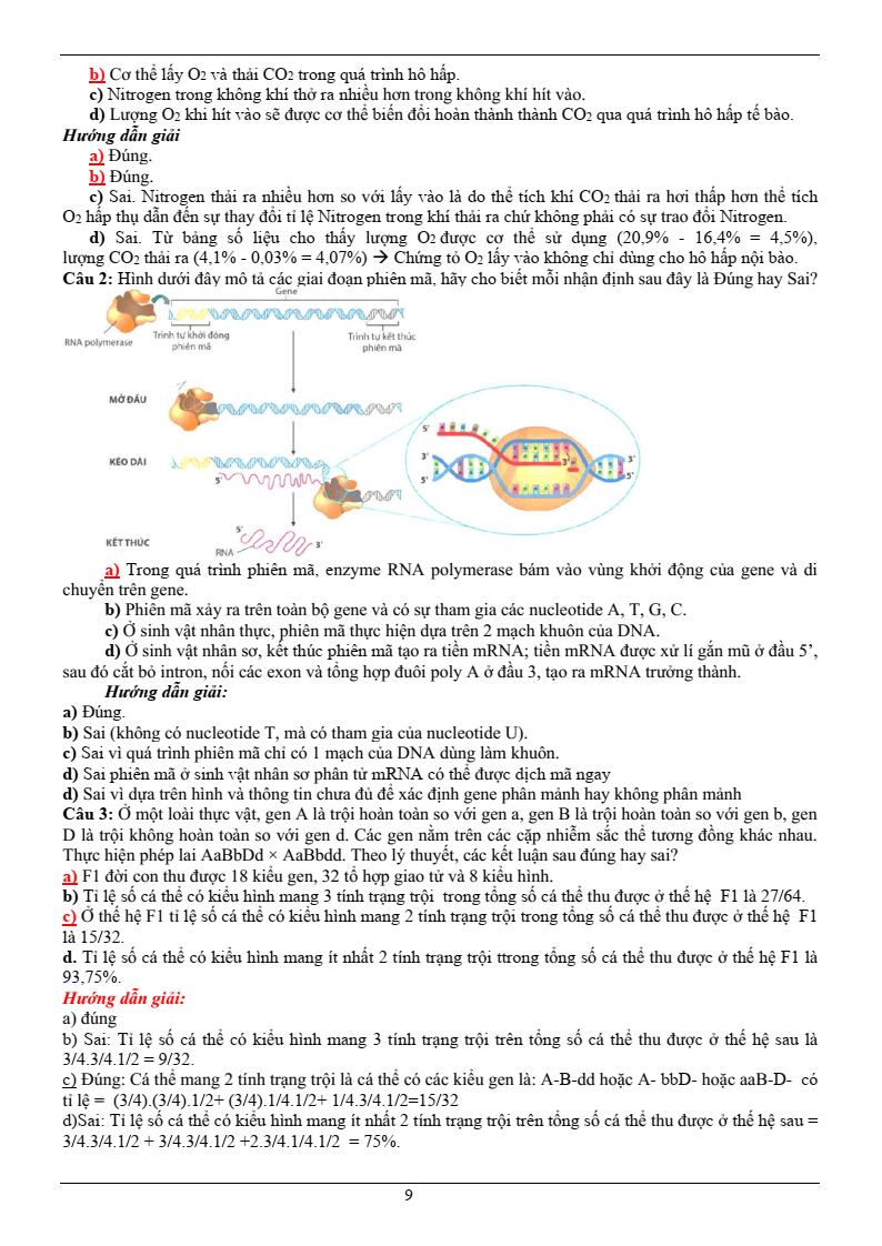 50+ Đề ôn thi Tốt nghiệp THPT Sinh học năm 2026 (có đáp án)
