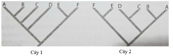 50+ Đề ôn thi Tốt nghiệp THPT Sinh học năm 2026 (có đáp án)