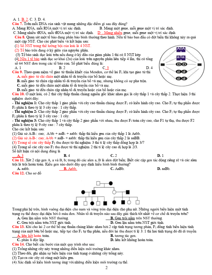Đề thi học sinh giỏi Sinh học 12 trường THPT Bắc Đông Quan (Hưng Yên) năm 2025-2026