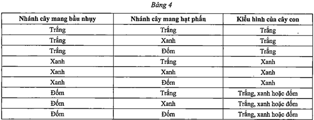 Đề thi học sinh giỏi Sinh học 12 trường THPT Bắc Đông Quan (Hưng Yên) năm 2025-2026