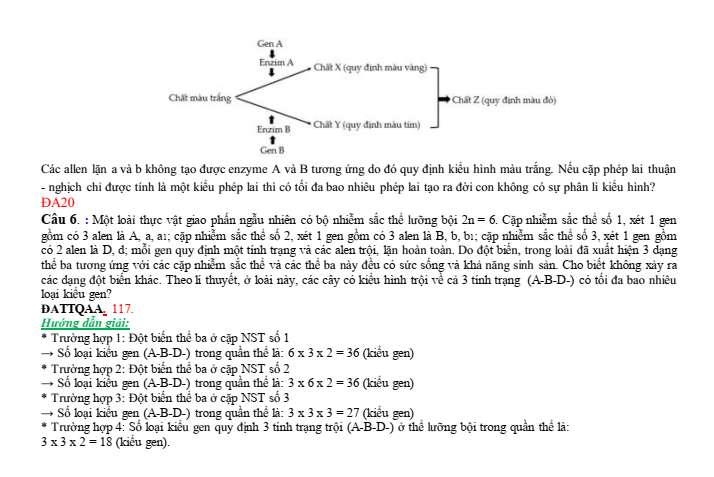 Đề thi học sinh giỏi Sinh học 12 trường THPT Bắc Đông Quan (Hưng Yên) năm 2025-2026