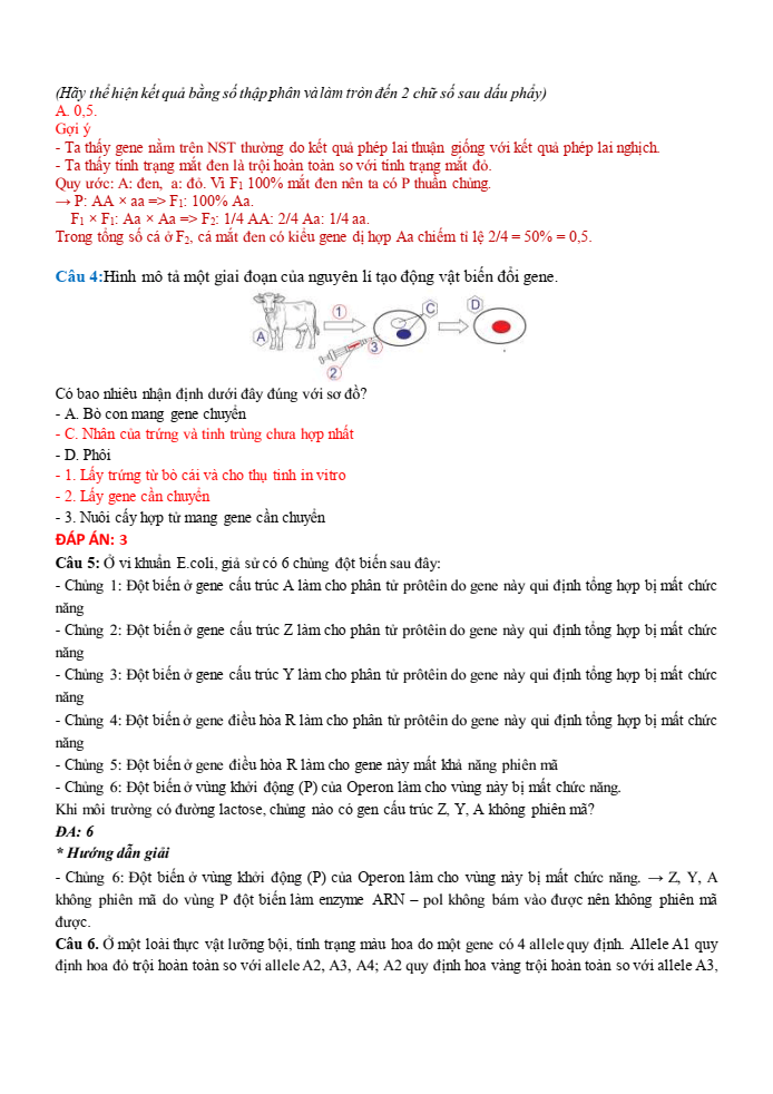 Đề thi học sinh giỏi Sinh học 12 trường THPT Lê Quý Đôn (Ninh Bình) năm 2025-2026