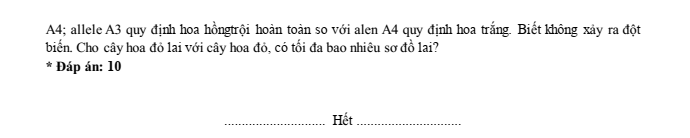 Đề thi học sinh giỏi Sinh học 12 trường THPT Lê Quý Đôn (Ninh Bình) năm 2025-2026
