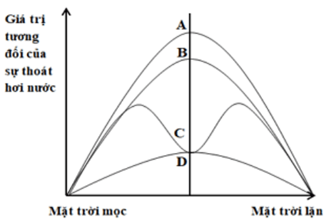 Đề thi học sinh giỏi Sinh học 12 trường THPT Lê Quý Đôn (Ninh Bình) năm 2025-2026