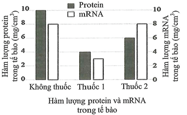 Đề thi học sinh giỏi Sinh học 12 trường THPT Lê Quý Đôn (Ninh Bình) năm 2025-2026