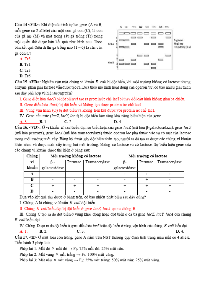 Đề thi học sinh giỏi Sinh học 12 trường THPT Lê Quý Đôn (Ninh Bình) năm 2025-2026