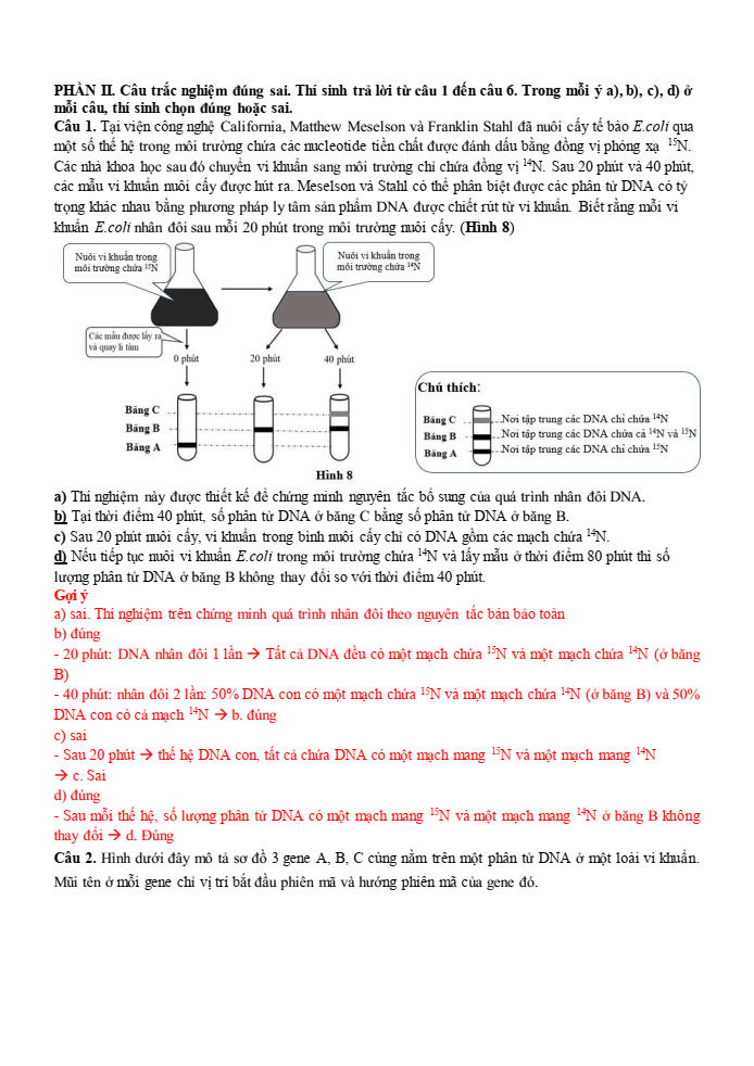 Đề thi học sinh giỏi Sinh học 12 trường THPT Lê Quý Đôn (Ninh Bình) năm 2025-2026