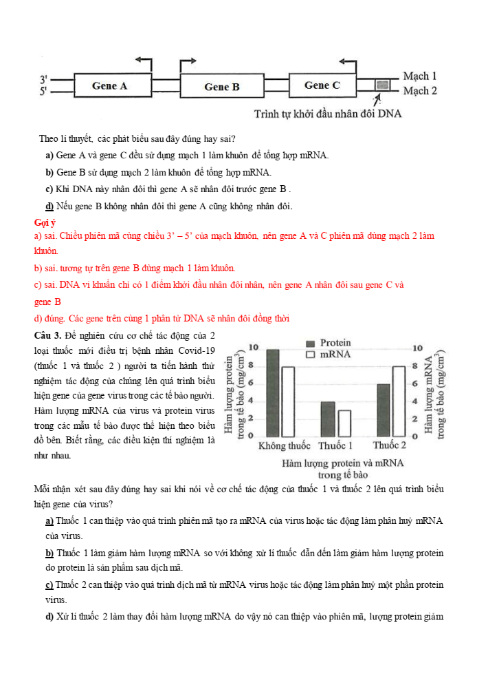 Đề thi học sinh giỏi Sinh học 12 trường THPT Lê Quý Đôn (Ninh Bình) năm 2025-2026