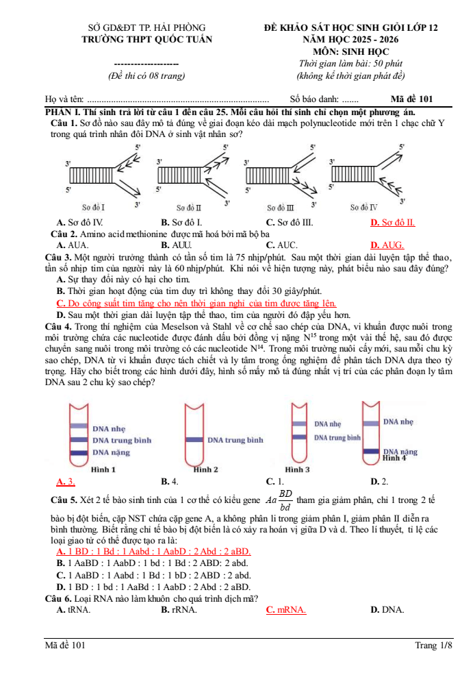 Đề thi học sinh giỏi Sinh học 12 trường THPT Quốc Tuấn (Hải Phòng) năm 2025-2026