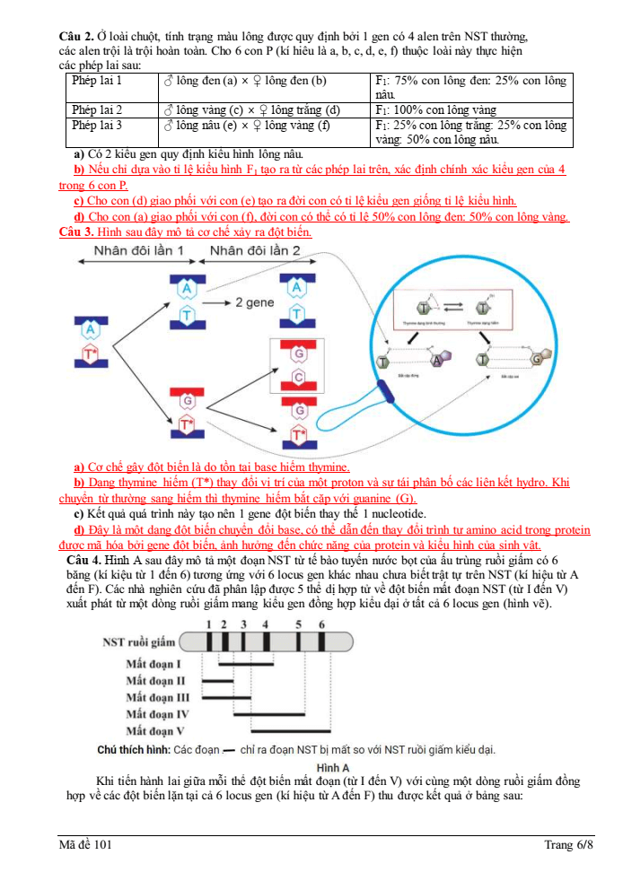 Đề thi học sinh giỏi Sinh học 12 trường THPT Quốc Tuấn (Hải Phòng) năm 2025-2026