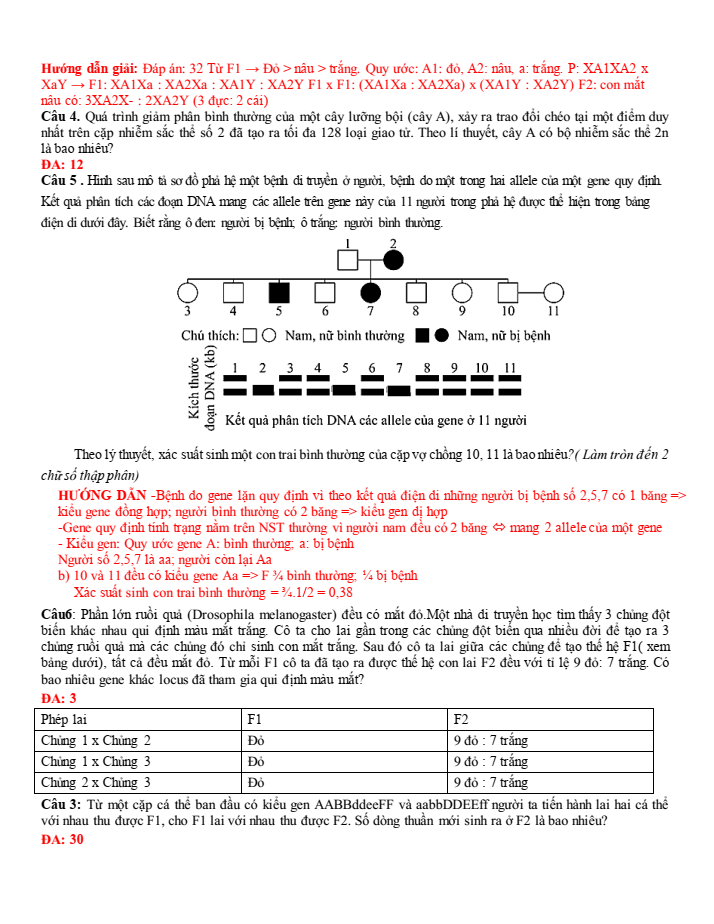 Đề thi học sinh giỏi Sinh học 12 trường THPT Sầm Sơn (Thanh Hoá) năm 2025-2026