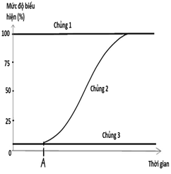 Đề thi học sinh giỏi Sinh học 12 trường THPT Sầm Sơn (Thanh Hoá) năm 2025-2026