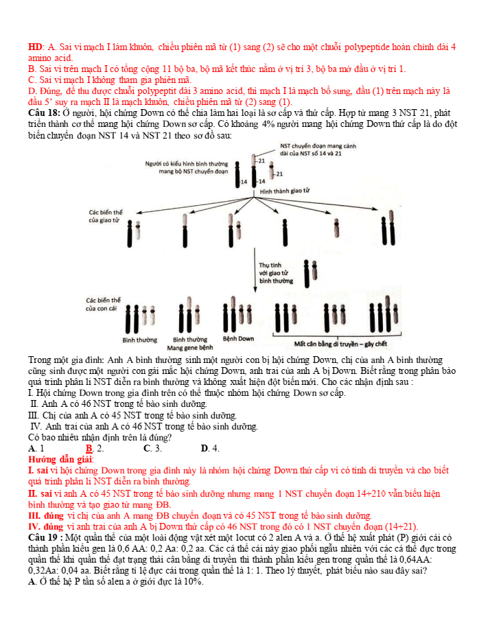 Đề thi học sinh giỏi Sinh học 12 trường THPT Sầm Sơn (Thanh Hoá) năm 2025-2026
