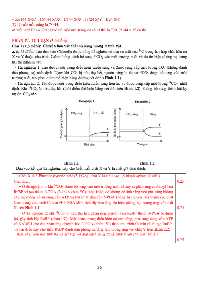 Đề thi học sinh giỏi Sinh học 12 trường THPT Thanh Thủy (Phú Thọ) năm 2025-2026
