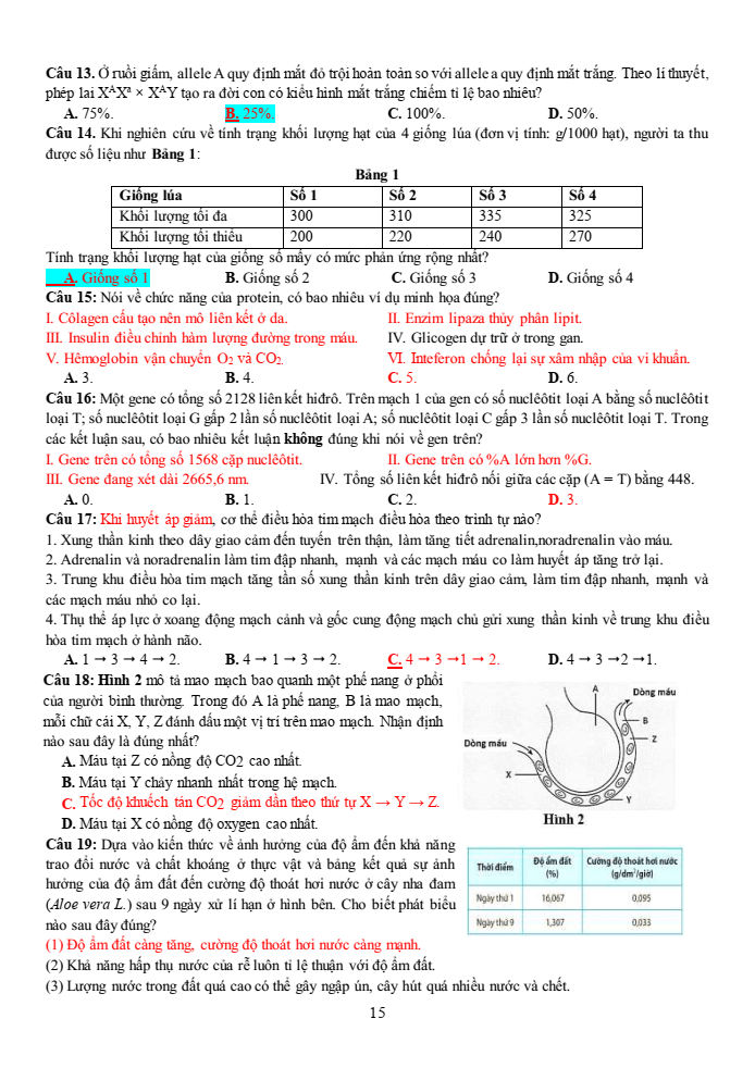 Đề thi học sinh giỏi Sinh học 12 trường THPT Thanh Thủy (Phú Thọ) năm 2025-2026