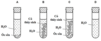 Đề thi học sinh giỏi Sinh học 12 trường THPT Thanh Thủy (Phú Thọ) năm 2025-2026