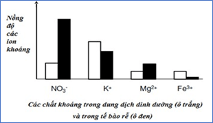 Đề thi học sinh giỏi Sinh học 12 trường THPT Thanh Thủy (Phú Thọ) năm 2025-2026