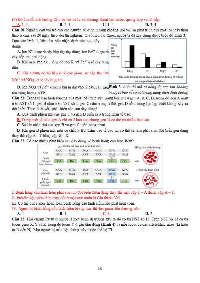 Đề thi học sinh giỏi Sinh học 12 trường THPT Thanh Thủy (Phú Thọ) năm 2025-2026