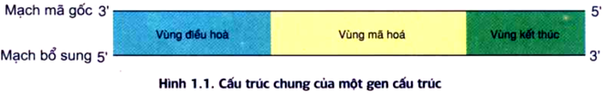 Đề ôn thi tốt nghiệp THPT môn Sinh năm 2024 có đáp án (Đề 4)