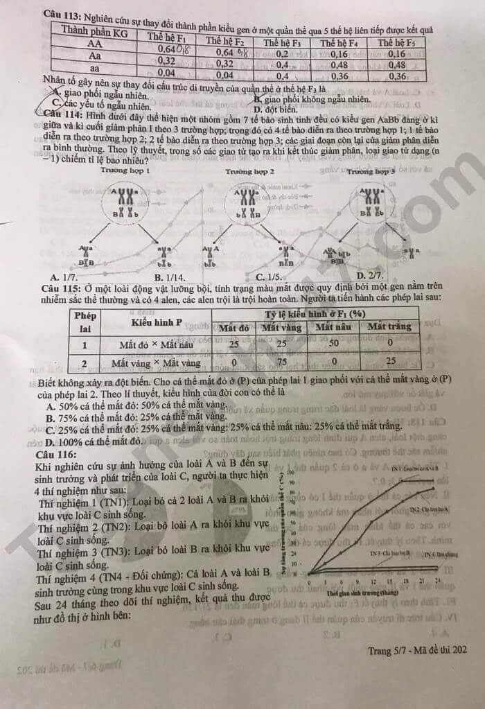 Đề thi thử 2024 Sinh Sở GD Bắc Giang