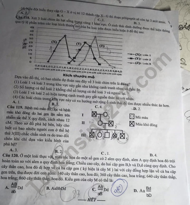 Đề thi thử 2024 Sinh Sở GD Hòa Bình