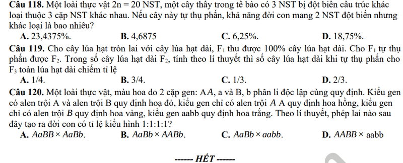 Đề thi thử 2024 Sinh trường THPT Đội Cấn