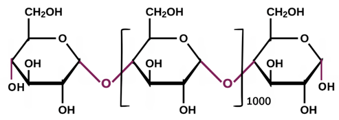 Đề thi thử Hóa Tốt nghiệp THPT 2025-2026 Cụm 13 trường THPT (Hải Phòng)