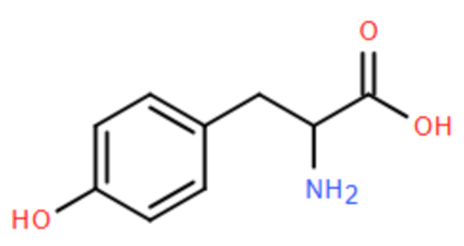 Đề thi thử Hóa Tốt nghiệp THPT 2025-2026 trường THPT An Dương (Hải Phòng)