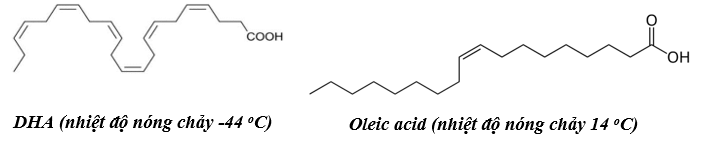 Đề thi thử Hóa Tốt nghiệp THPT 2025-2026 trường THPT Chuyên Trần Phú (Hải Phòng)