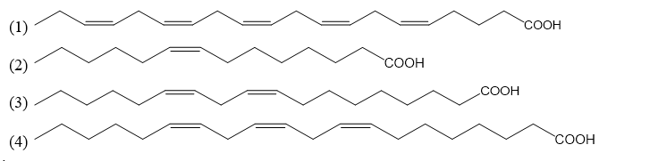 Đề thi thử Hóa Tốt nghiệp THPT 2025-2026 trường THPT Hàn Thuyên (Bắc Ninh)
