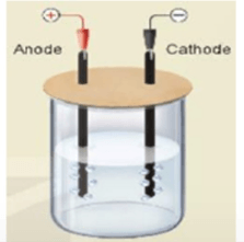 Đề thi thử Hóa Tốt nghiệp THPT 2025-2026 trường THPT Hậu Lộc 1 (Thanh Hóa)