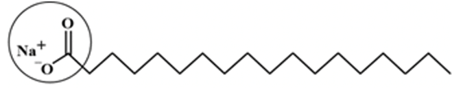 Đề thi thử Hóa Tốt nghiệp THPT 2025-2026 trường THPT Hậu Lộc 4 (Thanh Hóa)