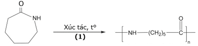 Đề thi thử Hóa Tốt nghiệp THPT 2025-2026 trường THPT Hậu Lộc 4 (Thanh Hóa)
