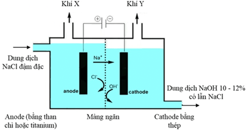 Đề thi thử Hóa Tốt nghiệp THPT 2025-2026 trường THPT Hậu Lộc 4 (Thanh Hóa)