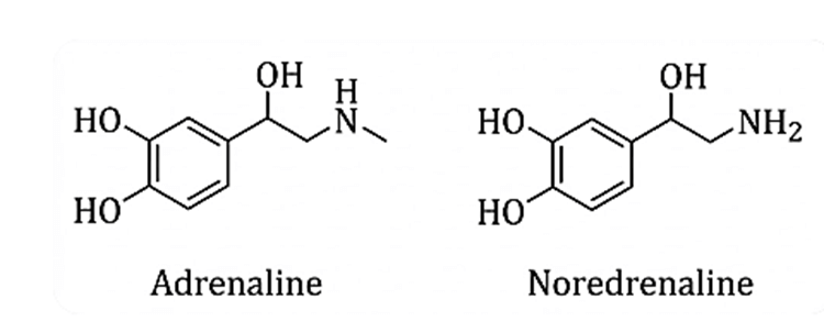 Đề thi thử Hóa Tốt nghiệp THPT 2025-2026 trường THPT Hưng Nhân (Hưng Yên)