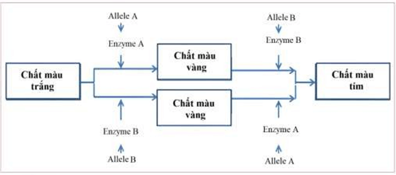 Đề thi thử Sinh Tốt nghiệp THPT 2025-2026 Cụm trường THPT TT1-QV1-LVT (Bắc Ninh)tieude