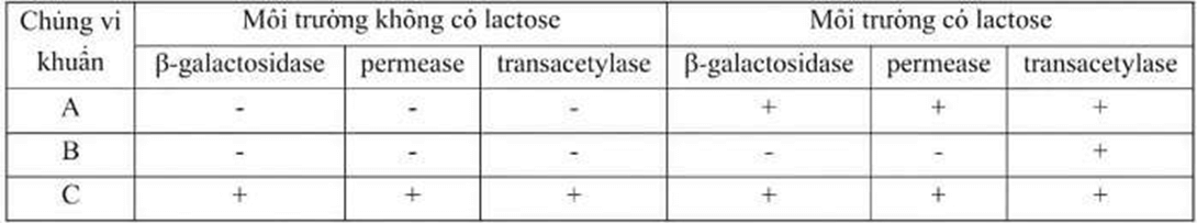 Đề thi thử Sinh Tốt nghiệp THPT 2025-2026 Cụm trường THPT TT1-QV1-LVT (Bắc Ninh)tieude