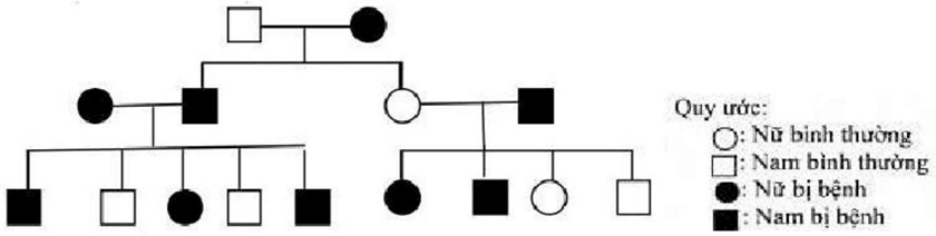 Đề thi thử Sinh Tốt nghiệp THPT 2025-2026 Khối THPT Cụm Cẩm Xuyên (Hà Tĩnh)
