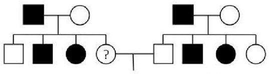 Đề thi thử Sinh Tốt nghiệp THPT 2025-2026 Khối THPT Cụm Cẩm Xuyên (Hà Tĩnh)